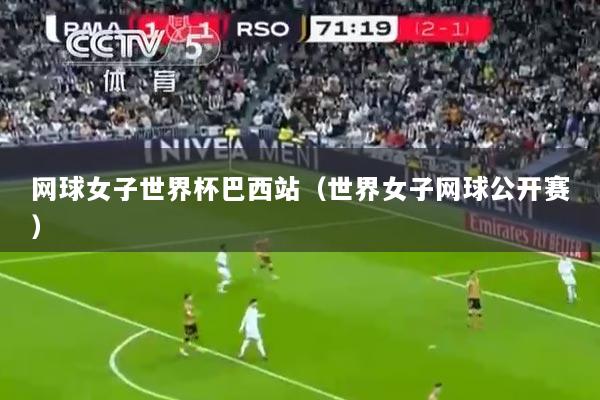 网球女子世界杯巴西站（世界女子网球公开赛）