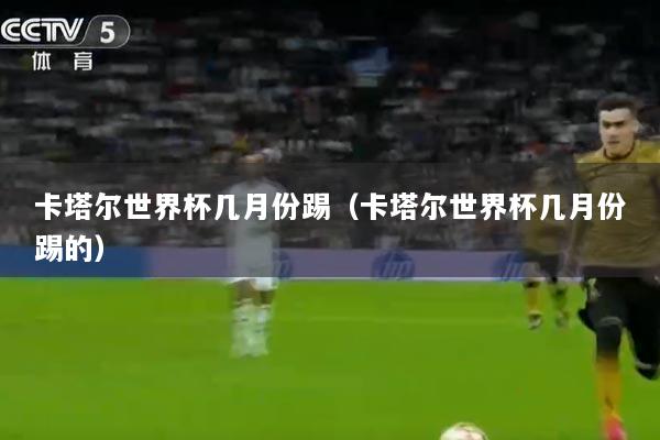 卡塔尔世界杯几月份踢（卡塔尔世界杯几月份踢的）