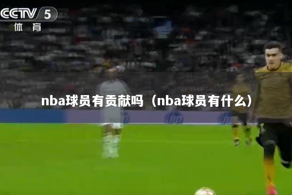 nba球员有贡献吗（nba球员有什么）