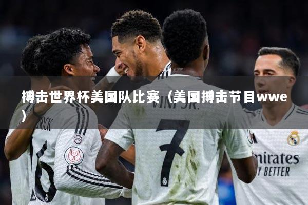 搏击世界杯美国队比赛（美国搏击节目wwe）